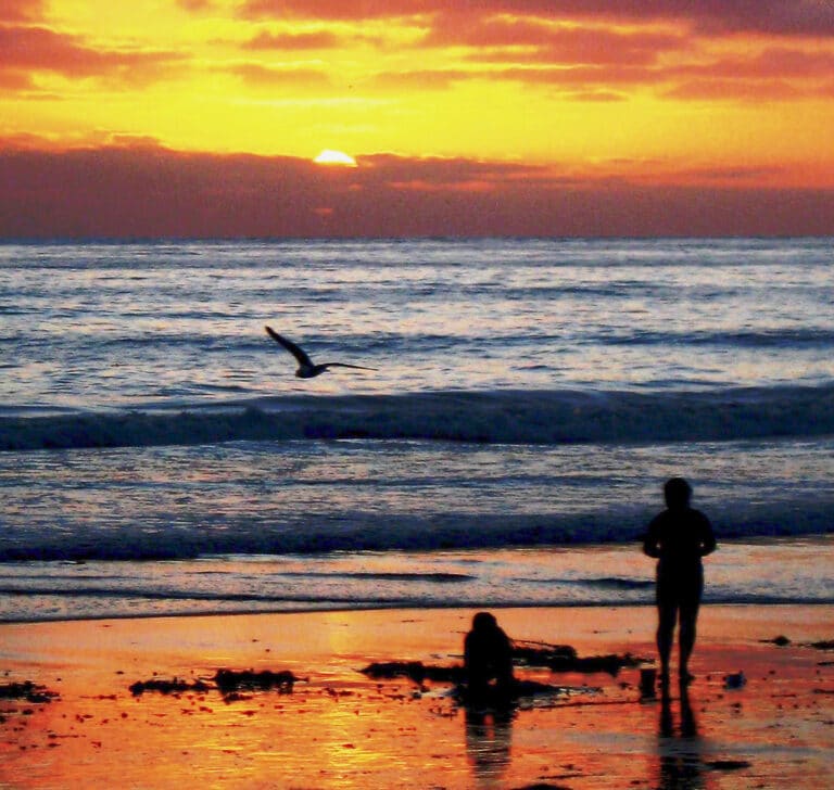 A crowded summer beach scene at sunset in San Diego, California