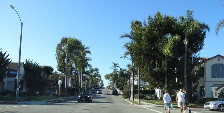 A quiet residential California neighborhood street lined with palm trees