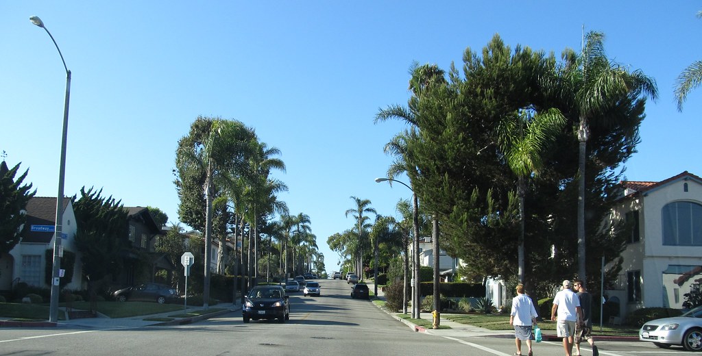 A quiet residential California neighborhood street lined with palm trees