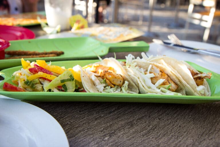 A plate of fish tacos