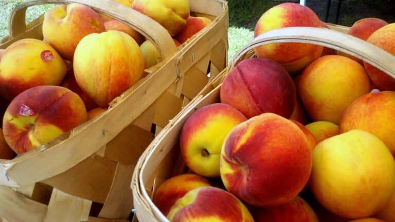 Sprouts Farmers Market - Pacific Beach Luxury guest services guide