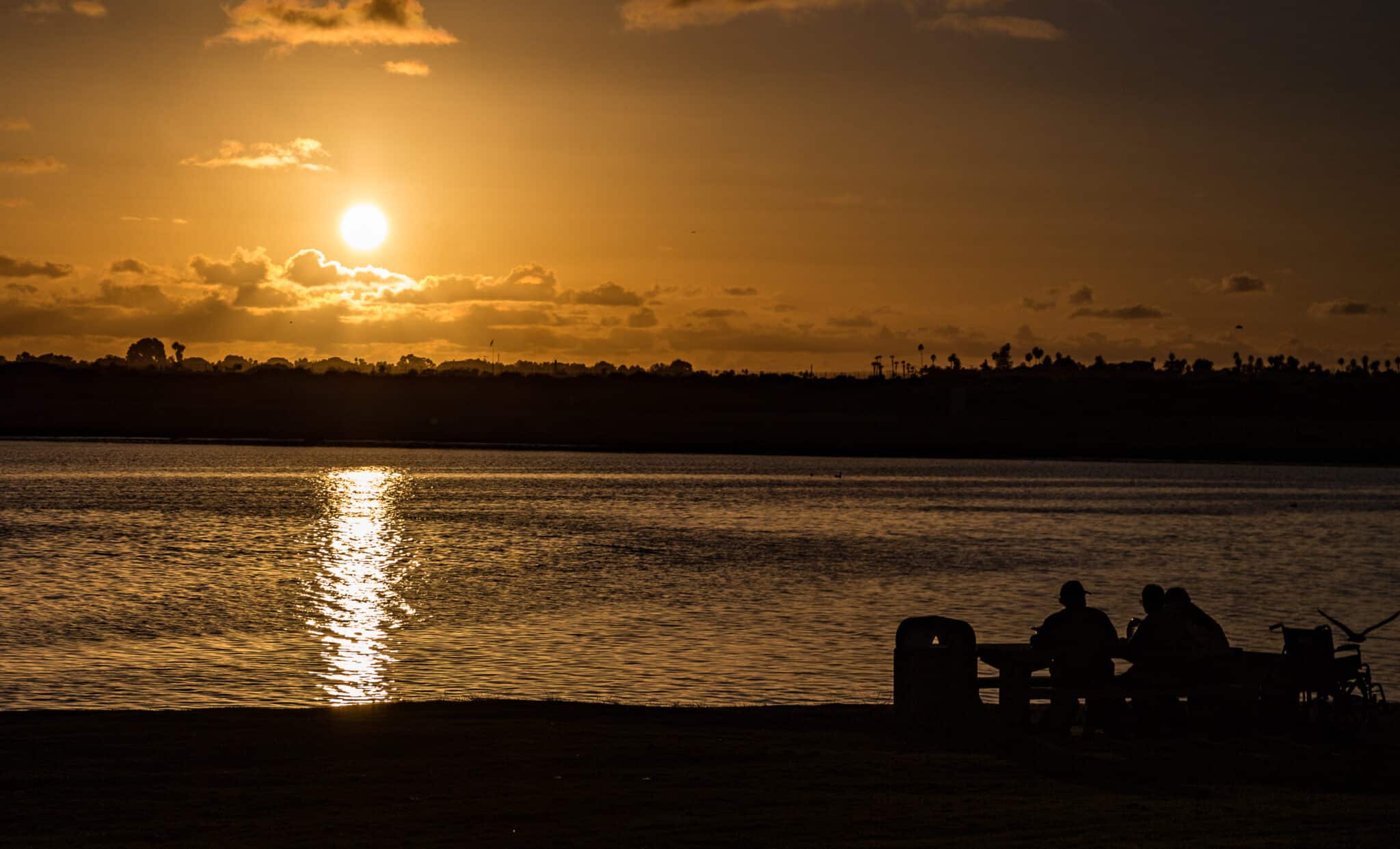 Fanuel Street Park - Pacific Beach Luxury guest experience guide