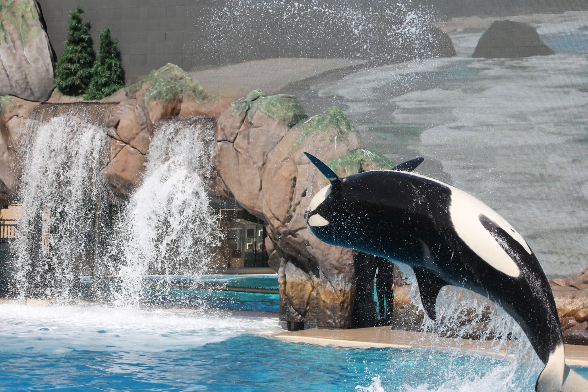 SeaWorld San Diego - Pacific Beach Luxury guest experience guide