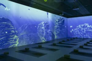 Spirit Yoga Studios - Pacific Beach Luxury guest experience guide