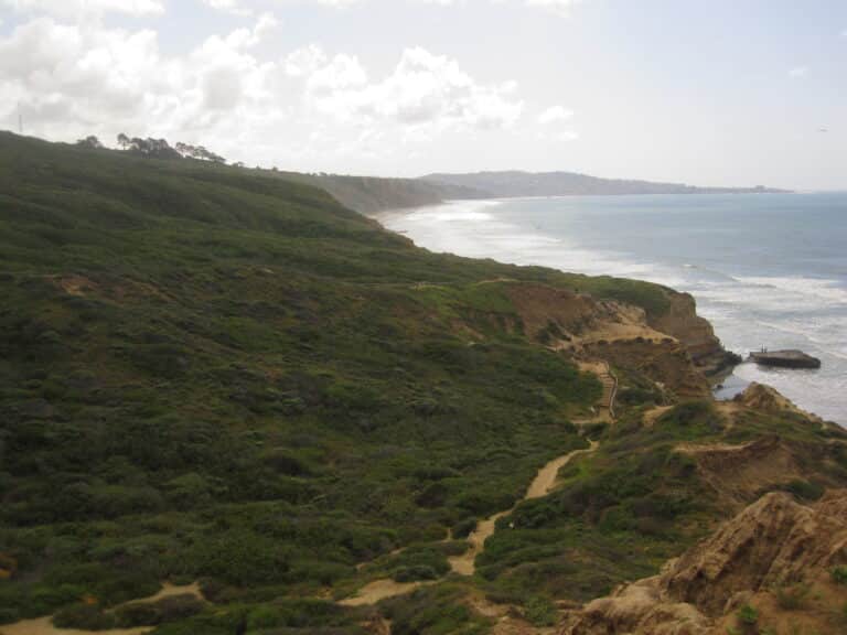 Torrey Pines State Reserve - Pacific Beach Luxury guest experience guide