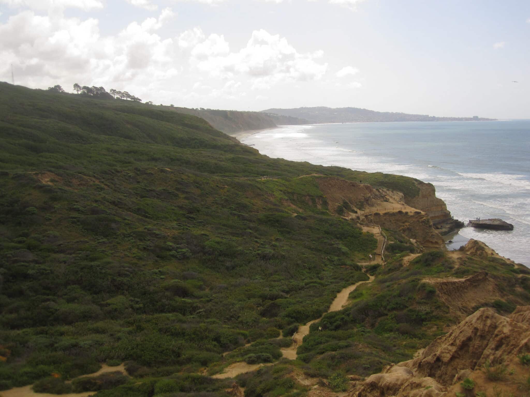 Torrey Pines State Reserve - Pacific Beach Luxury guest experience guide